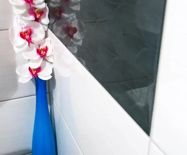 ブルー シンフォニー オールド タウン アパート