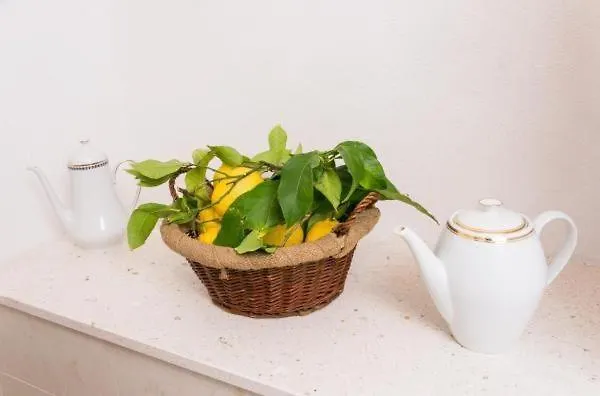 Blue Symphony Old Town דירה דוברובניק