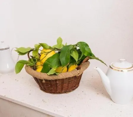 Blue Symphony Old Town Appartamento Ragusa