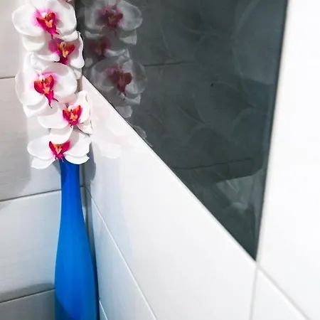 Blue Symphony Old Town Appartement