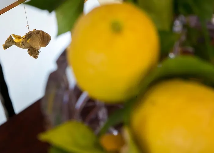 Blue Symphony Old Town